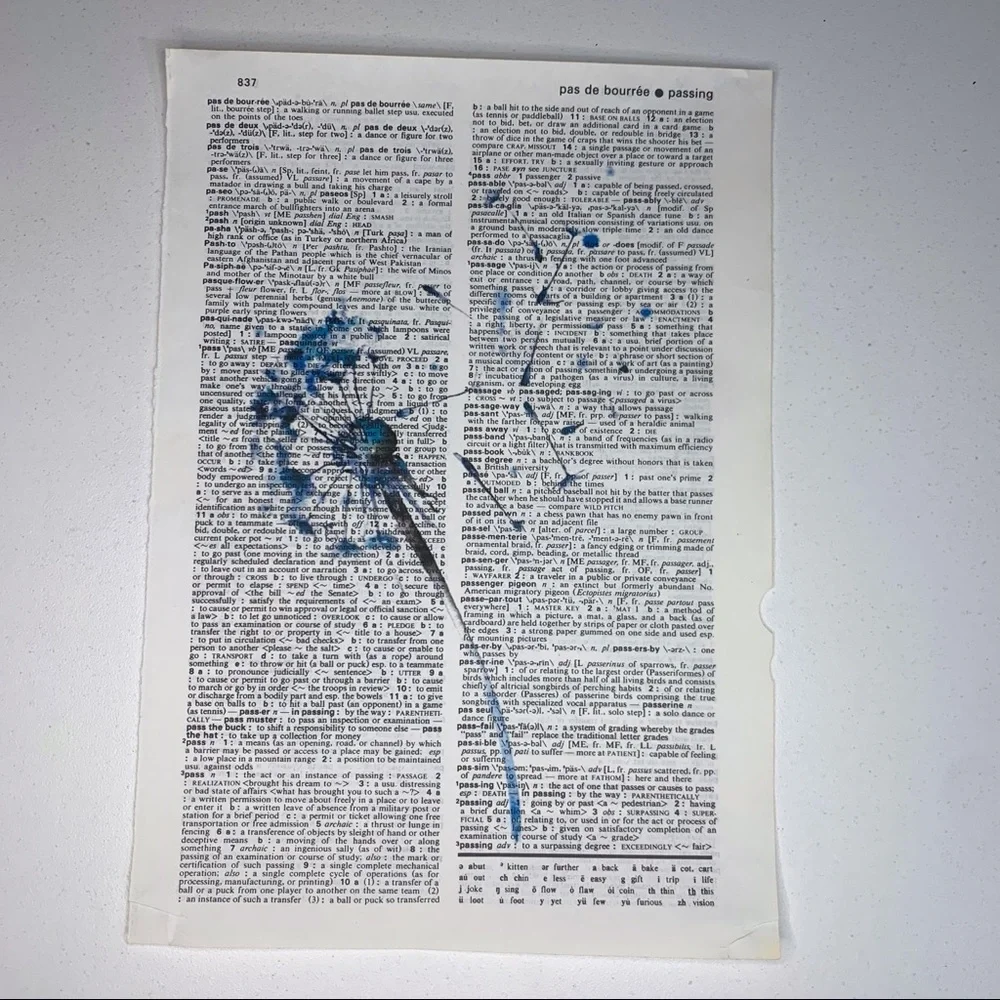 N/A vintage dictionary